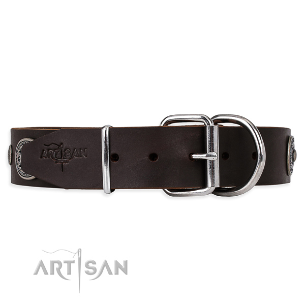 Buckle Dog Collars UK