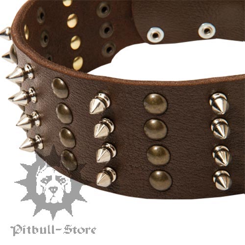 Pitbull Dog Collar