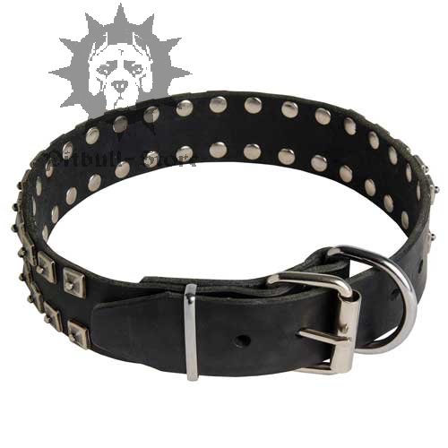 Studded Dog Collar