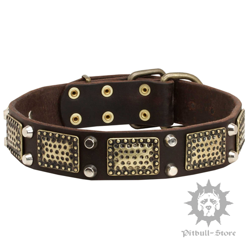 Chic Dog Collar