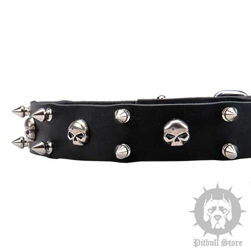 Dog Collar with Skulls 