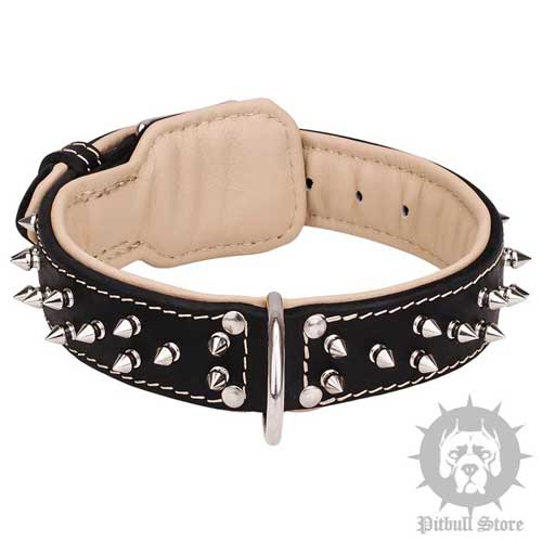 Pitbull Leather Collar