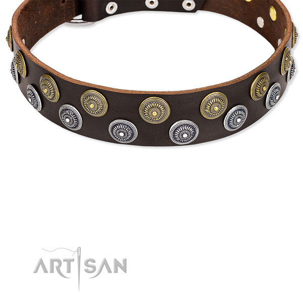 Cool Pet Collars