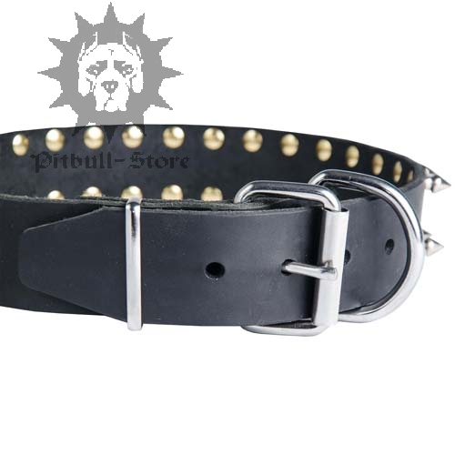 Spiked Dog Collar