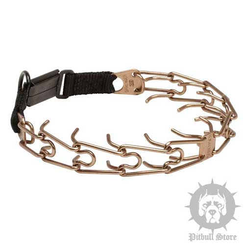 Pitbull Prong Collar