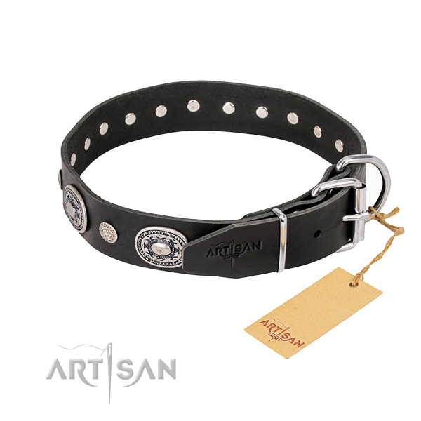 Custom Collars for Dogs