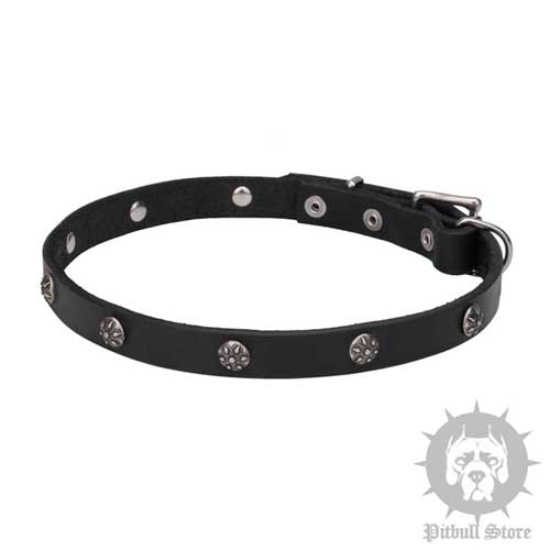 Cute Dog Collar