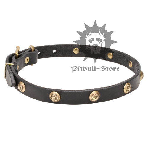 Cute Dog Collar