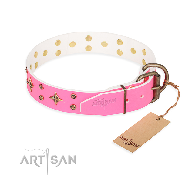 Female Pitbull Dog Collars