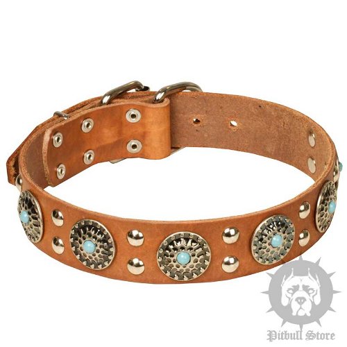 Decorative Leather Dog Collars