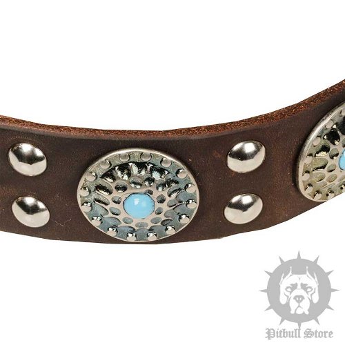 Decorated Dog Collar UK