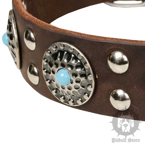 Decorated Dog Collars UK