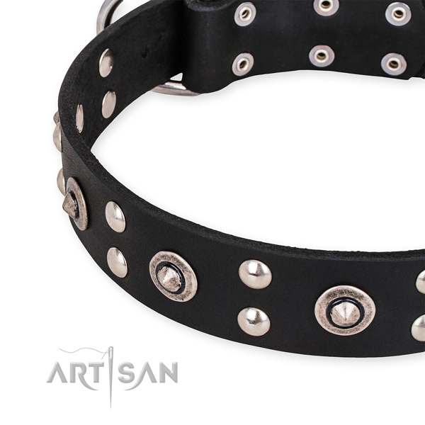 Designer Collars for Dogs