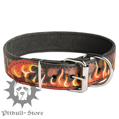 Walking Dog Collar