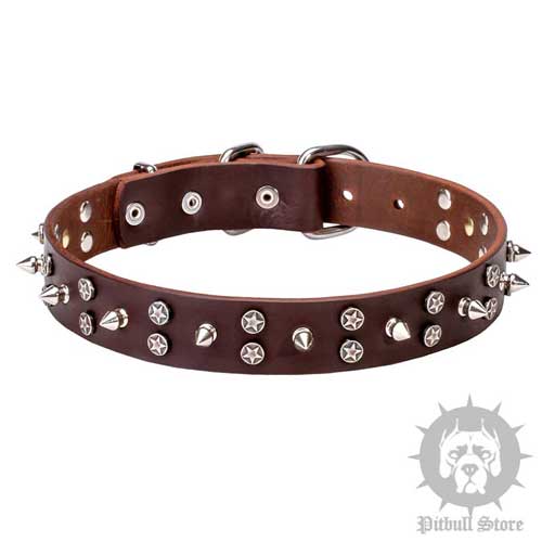 Designer Dog Collar