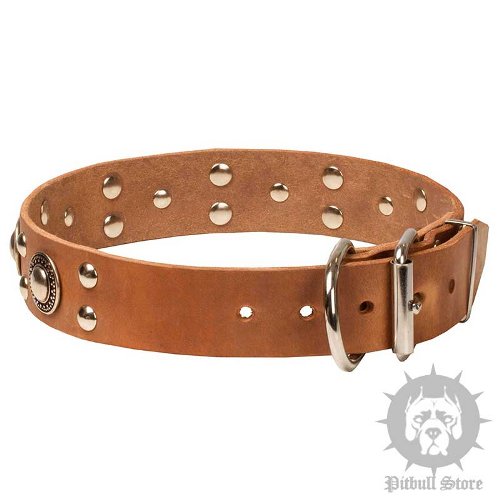 Designer Dog Collar UK