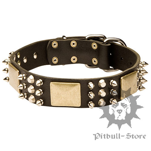 Designer Dog Collar