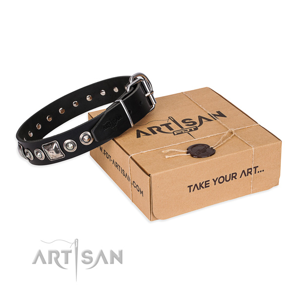 Designer Pet Collar