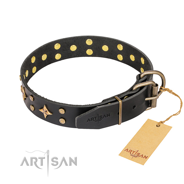 Designer Pet Collars