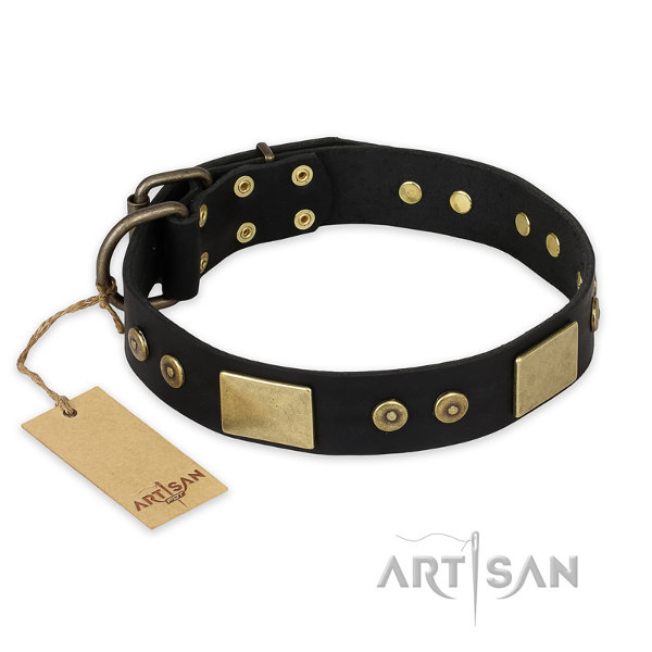 Dog Collar for a Pitbull