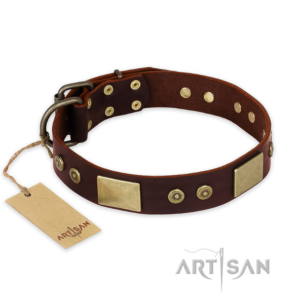 Dog Collar for Pitbulls