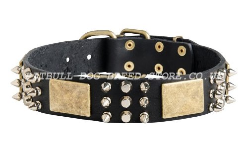 Exclusive Dog Collar UK