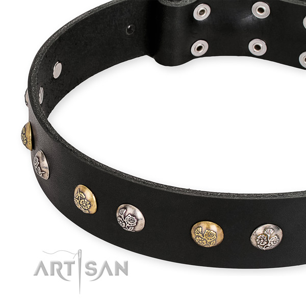 Dog Collar with Flowers