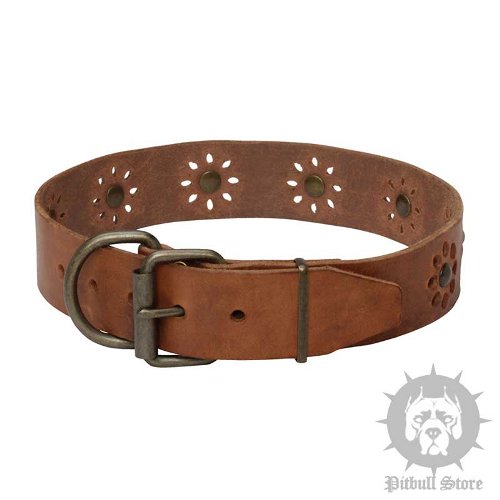 Leather Dog Collar Flowers