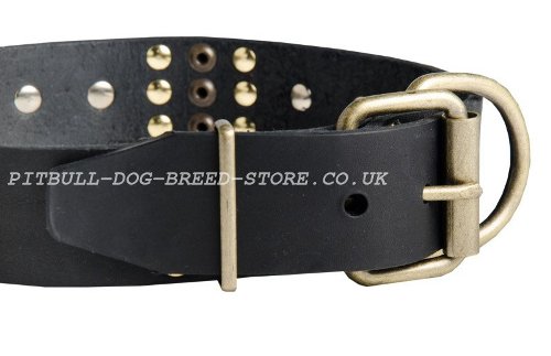 Exclusive Dog Collars UK