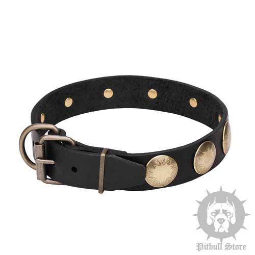 Dog Collar with Stars