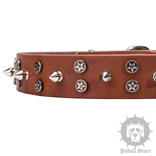 Dog Collar with Stars