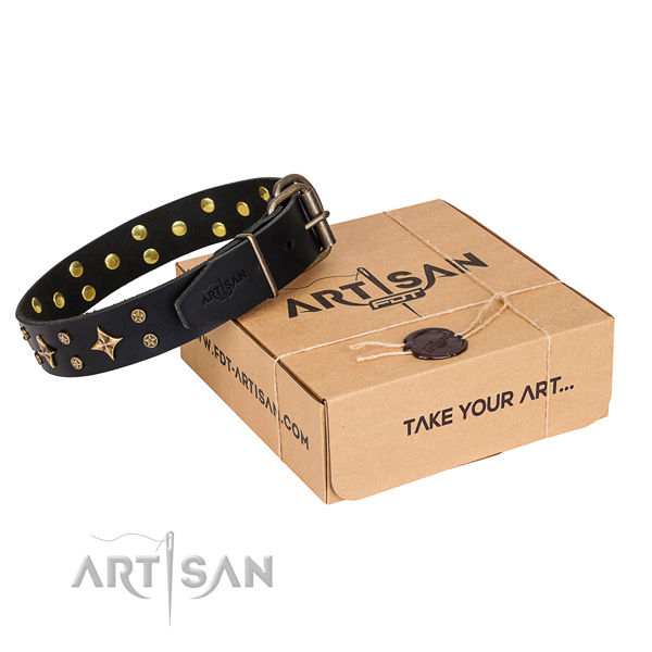 Dog Collar with Stars