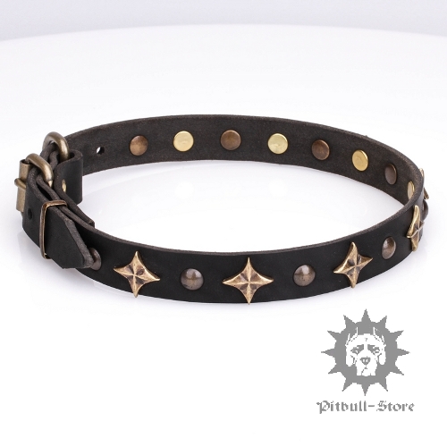 Dog Collar with Stars