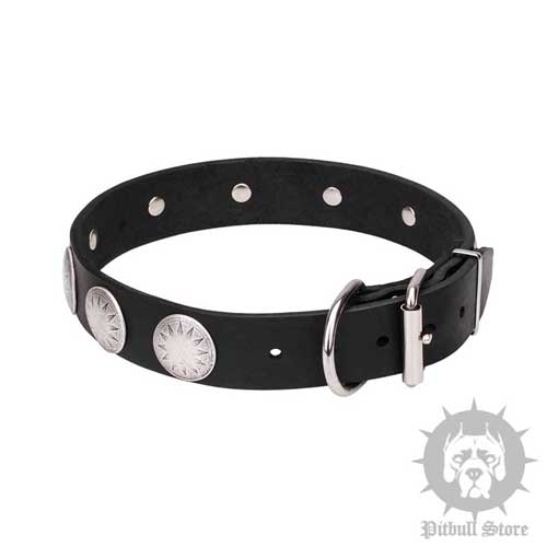 Dog Collar with Stars