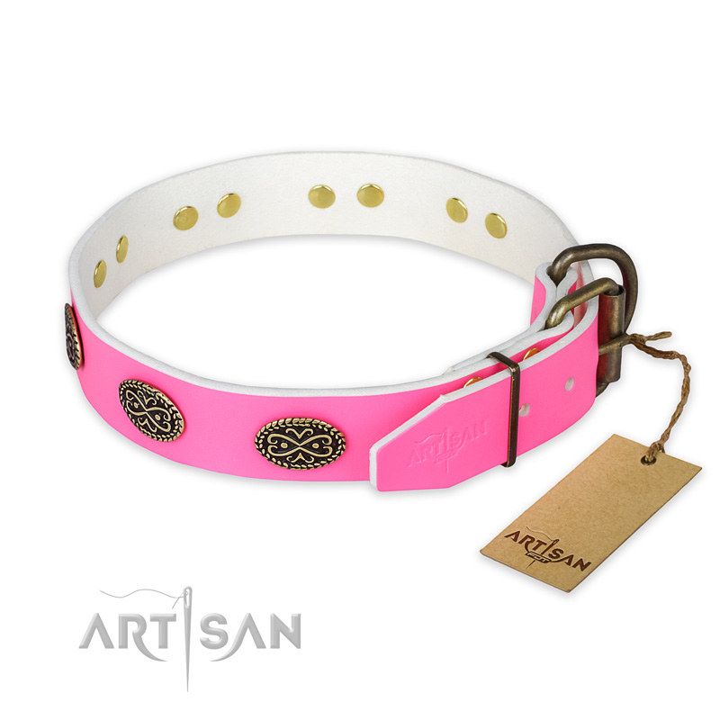dog collars for female pitbulls