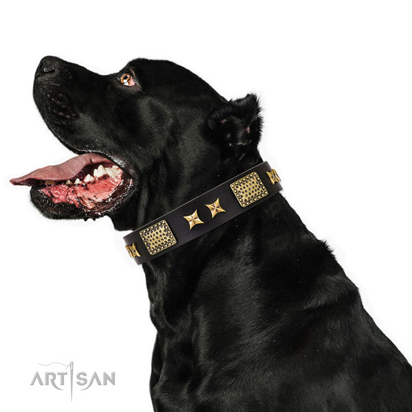 Dog Collars Large Breed