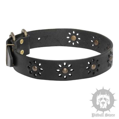 Dog Collars with Flowers UK