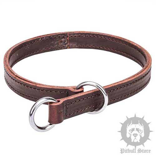 Dog Control Collar