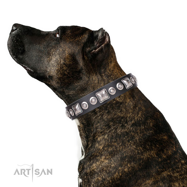 Handmade Staffordshire Bull Terrier Collars