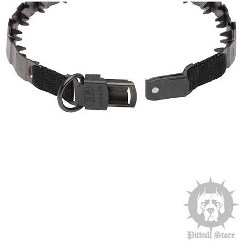 Pitbull Training Collar