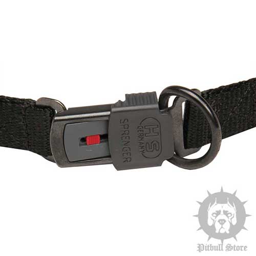 Prong Collars for Dogs