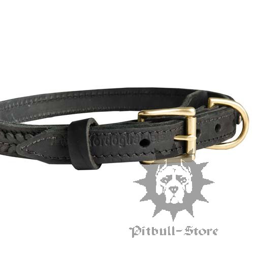 Braided Leather Dog Collar