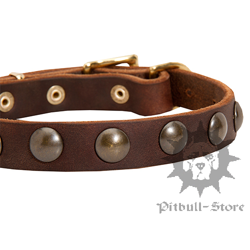 Vintage Dog Collar