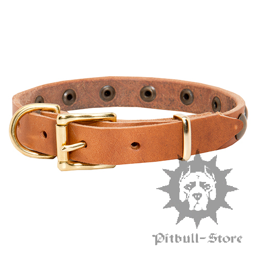 Narrow Dog Collar