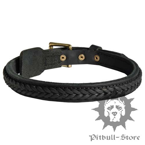 Braided Leather Dog Collar