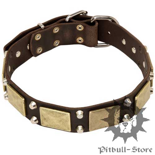 Pitbull Leather Collar