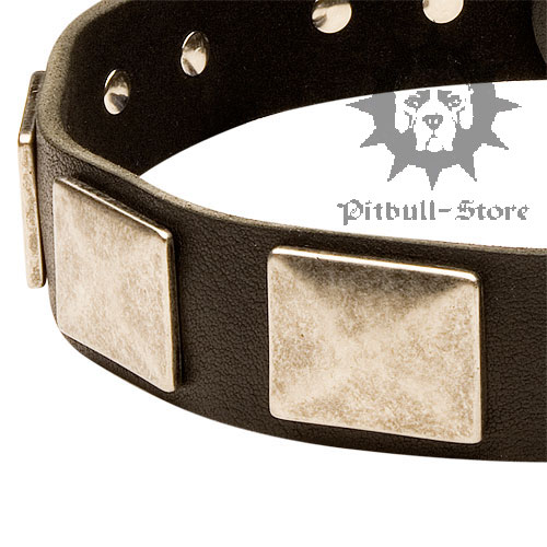 Leather Dog Collar