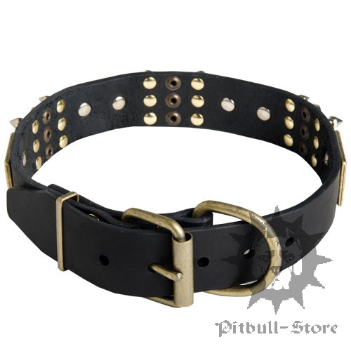 Exclusive Dog Collar