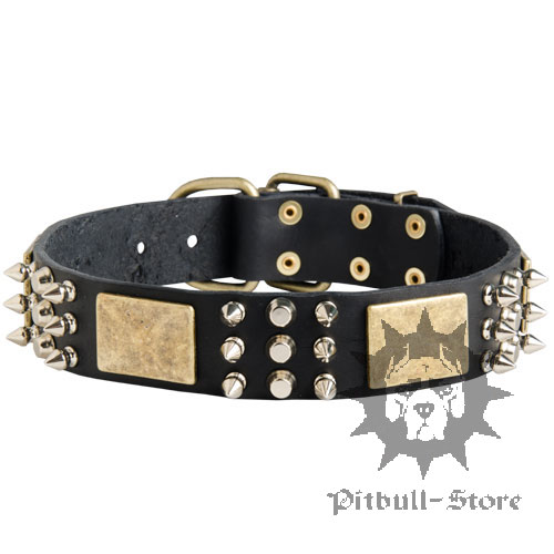 Exclusive Dog Collar