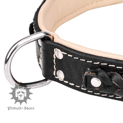 Stylish Dog Collar